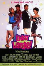 Watch Livin' Large Vumoo