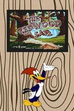 Watch The Redwood Sap (Short 1951) Vumoo