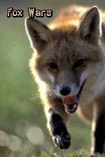 Watch Fox Wars Vumoo