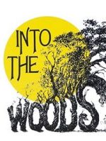 Watch Into the Woods Vumoo