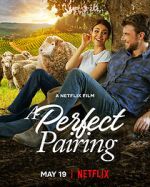 Watch A Perfect Pairing Vumoo