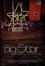 Watch Big Star: Nothing Can Hurt Me Vumoo