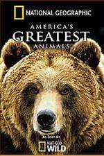 Watch America's Greatest Animals Vumoo