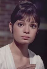 Watch Gidget Grows Up Vumoo