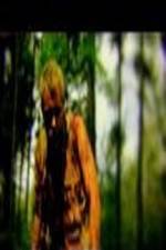 Watch The Legend of David Vumoo