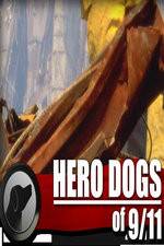 Watch Hero Dogs of 911 Documentary Special Vumoo