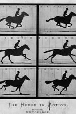 Watch Sallie Gardner at a Gallop Vumoo