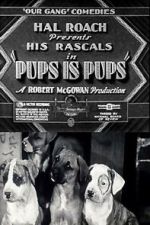 Watch Pups Is Pups Vumoo