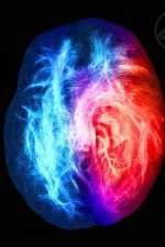 Watch Brain on Fire Vumoo