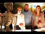 Watch Inside the Body of Henry VIII Vumoo