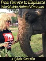 Watch From Parrots to Elephants: Worldwide Animal Rescues Vumoo