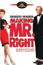 Watch Making Mr. Right Vumoo
