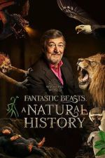 Watch Fantastic Beasts: A Natural History Vumoo