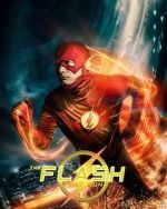Watch The Flash: Test Run (Short 2024) Vumoo