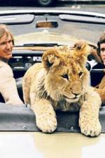 Watch The Lion Cub from Harrods Vumoo