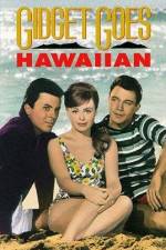 Watch Gidget Goes Hawaiian Vumoo
