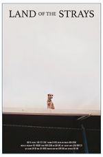 Watch Land of the Strays (Short 2018) Vumoo