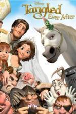 Watch Tangled Ever After Vumoo