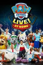 Watch PAW Patrol Live! at Home (TV Special 2021) Vumoo