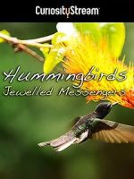 Watch Hummingbirds Jewelled Messengers Vumoo
