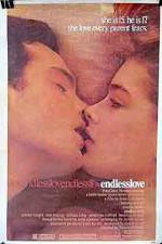 Watch Endless Love Vumoo