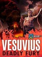 Watch The Other Pompeii: Life & Death in Herculaneum Vumoo