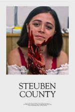 Watch Steuben County Vumoo