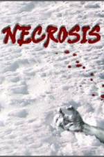 Watch Necrosis Vumoo