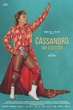 Watch Cassandro, The Exotico! Vumoo