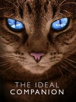 Watch The Ideal Companion Vumoo