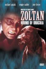 Watch Dracula's Dog Vumoo