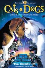 Watch Cats & Dogs Vumoo