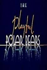 Watch The Playful Polar Bears Vumoo