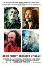Watch David Crosby: Remember My Name Vumoo