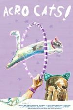 Watch Samantha\'s Amazing Acro-Cats Vumoo