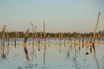 Watch The Lake of Scars Vumoo