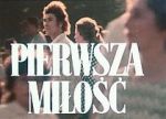 Watch First Love Vumoo
