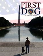 Watch First Dog Vumoo