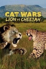 Watch Cat Wars: Lion Vs. Cheetah Vumoo