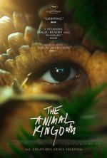 Watch The Animal Kingdom Vumoo