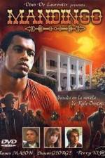 Watch Mandingo Vumoo