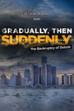 Watch Gradually, Then Suddenly: The Bankruptcy of Detroit Vumoo