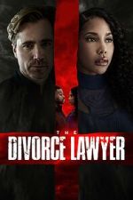 Watch The Divorce Lawyer Vumoo