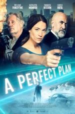 Watch A Perfect Plan Vumoo