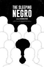 Watch The Sleeping Negro Vumoo