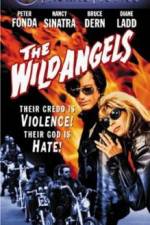 Watch The Wild Angels Vumoo