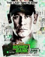 Watch WWE Money in the Bank (TV Special 2025) Vumoo