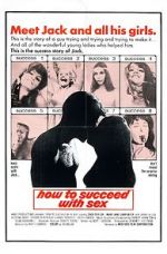 Watch How to Succeed with Sex Vumoo