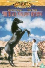 Watch The Black Stallion Returns Vumoo