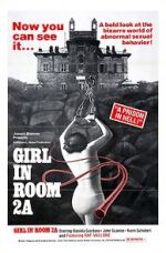 Watch The Girl in Room 2A Vumoo
